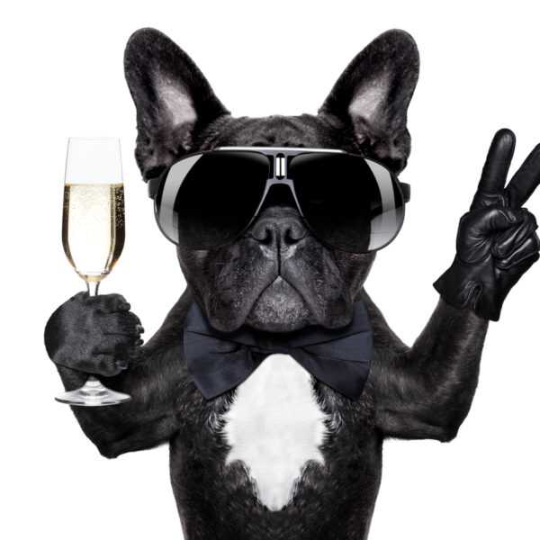 Cartoon of a dog holding a glass of wine.
