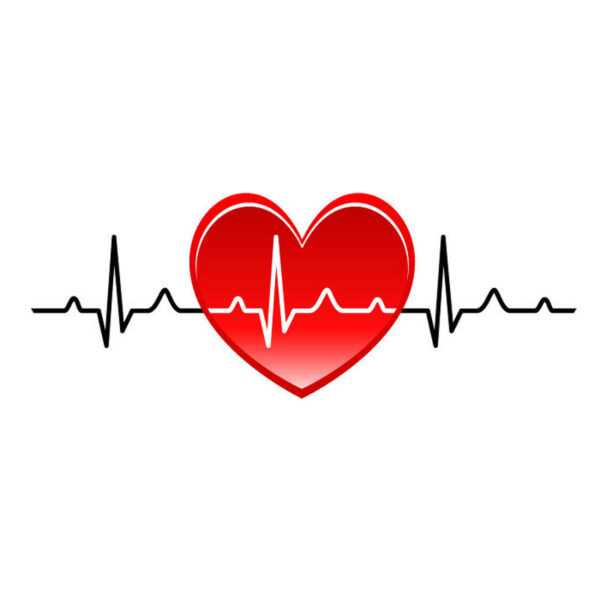 Illustration of heart with heart beat signal across it.